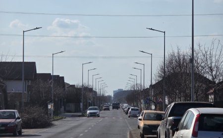 ADP Ghiroda face curățenie pe strada Dunărea