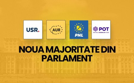 Sorin Grindeanu: ,,PSD merge până la capăt pentru copiii cu dizabilități și pensionari!"