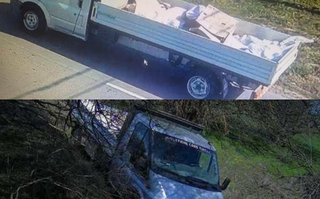 Amendat cu 3000 de lei pentru că a aruncat deșeuri în Parcul Natural Lunca Mureșului