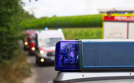 Incident între elevi la o școală din Jimbolia