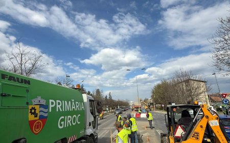 Curățenie pe Calea Timișoarei și strada Trandafirilor din Giroc
