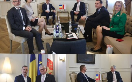 Delegație poloneză, în vizită la CJ Timiș
