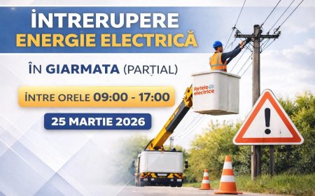 Comuna Giarmata rămâne parțial fără curent