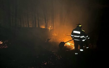 ISU Timiș: 87 de intervenții în 24 de ore