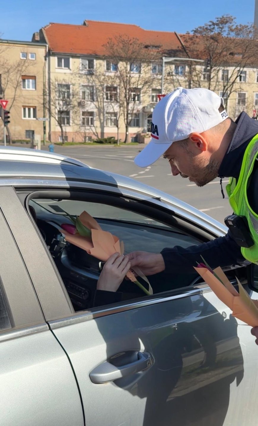 Misiune specială: Flori pentru timișorence