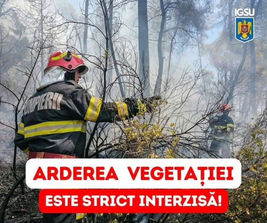 Primăria Moldova Nouă avertizează: focul pe terenuri poate aduce amenzi de până la 100.000 de lei