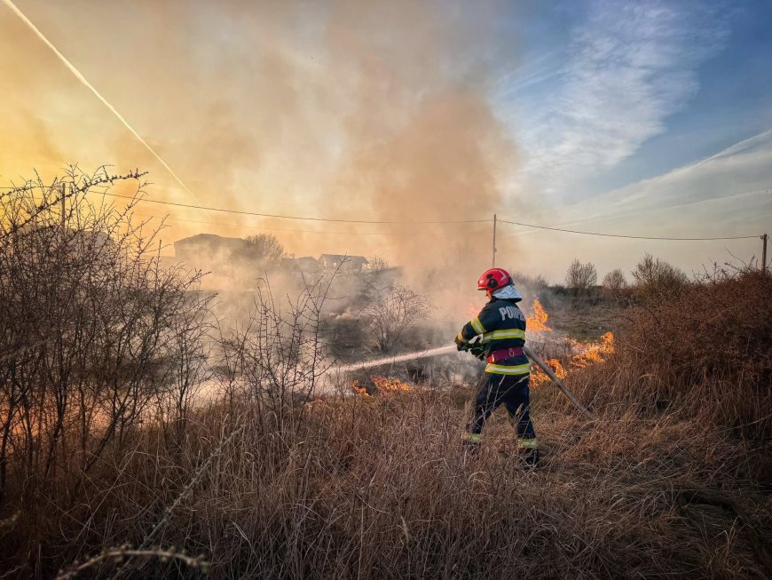 Incendiu de vegetație în Dumbrăvița