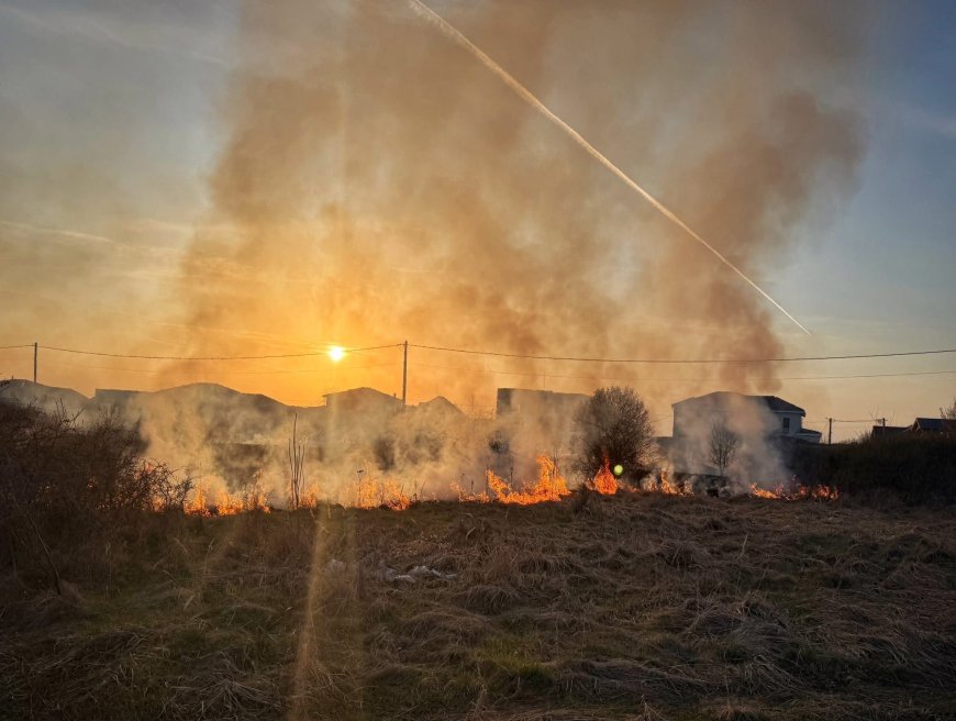 Incendiu de vegetație în Dumbrăvița