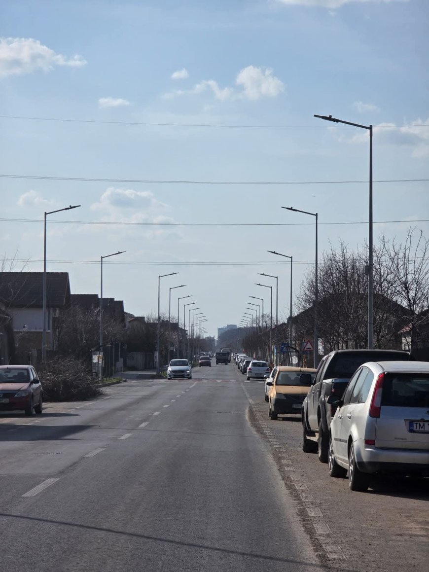 ADP Ghiroda face curățenie pe strada Dunărea