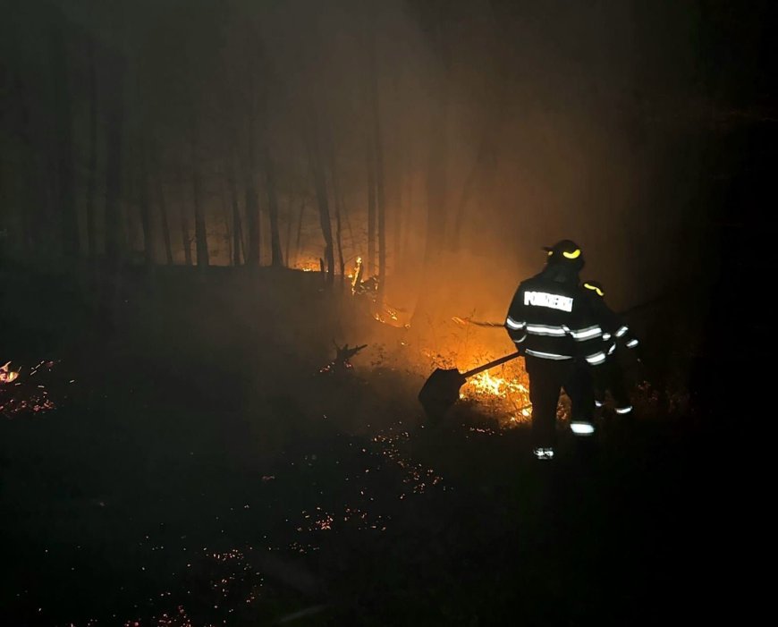 ISU Timiș: 87 de intervenții în 24 de ore