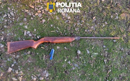 Braconaj de amploare în vestul țării