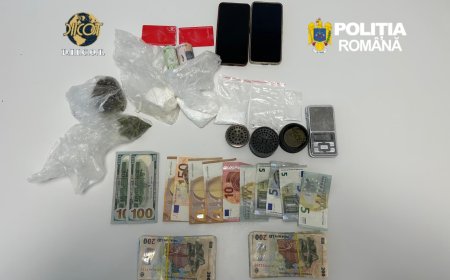 Rețea de traficanți de droguri destructurată în Timiș