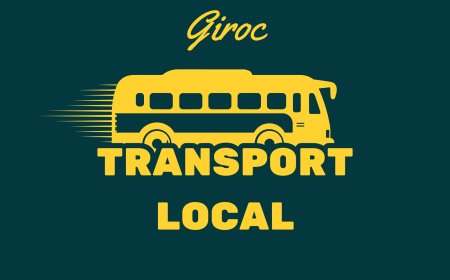 Transportul public revine pe strada Neptun din Giroc