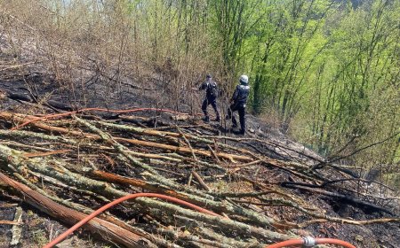 Peste 240 de intervenții ale pompierilor din Hunedoara în patru zile