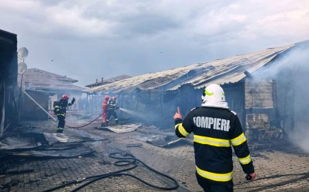 Incendiu generalizat la o uscătorie de lemne, extins la casele din vecinătate