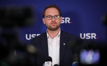 Fritz: "Această criză este declanșată de PSD strict în interesul propriu”   