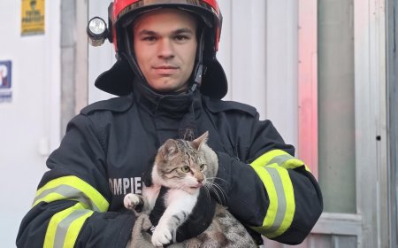 Pisică salvată de pompieri după ce a rămas blocată între două clădiri