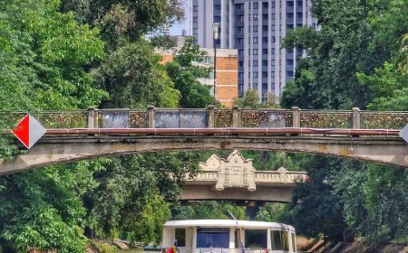 Undă verde pentru noul pod pietonal din Parcul Copiilor