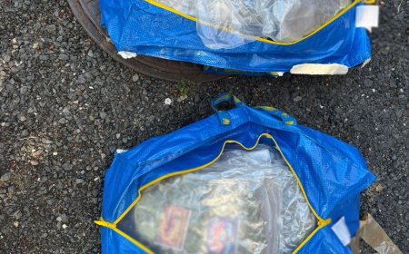 LOVITURĂ DURĂ ÎN REȚEAUA DROGURILOR: 13 KILOGRAME DE CANABIS, TRANZACȚIE DE 30.000 € ȘI DOI SUSPECȚI ARESTAȚI