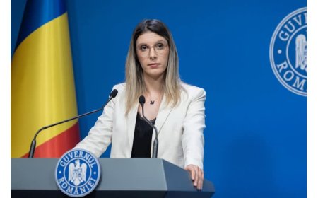 Reorganizarea Romsilva merge înainte