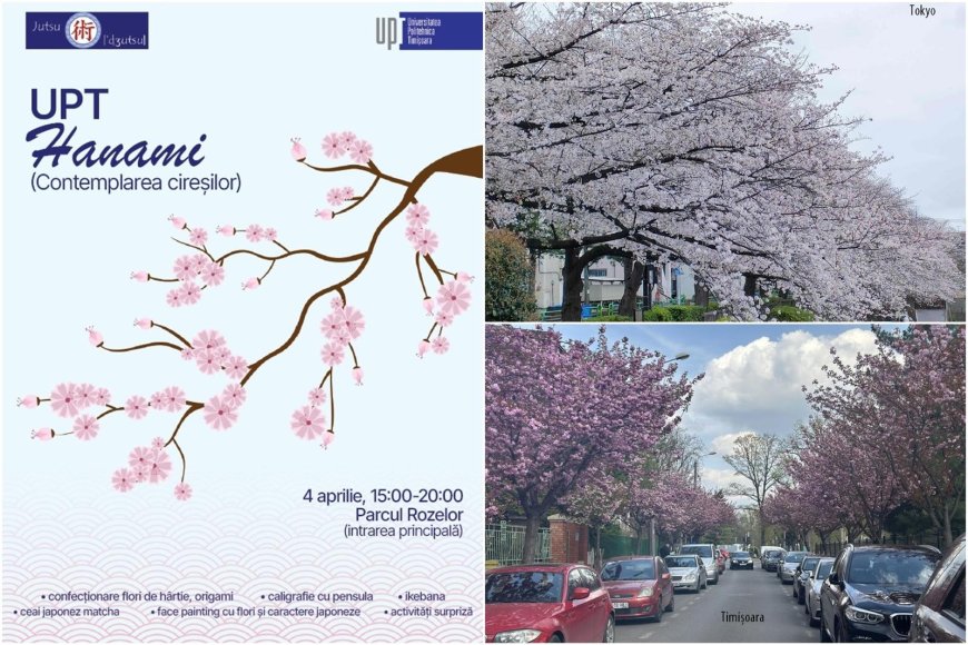 Centrul Jutsu de la UPT aduce spiritul Japoniei în inima orașului florilor
