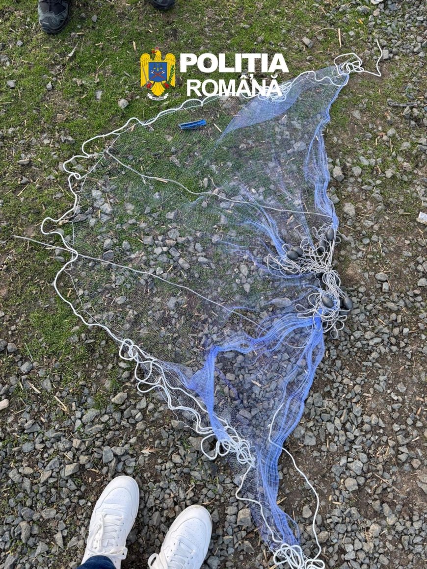 Braconaj de amploare în vestul țării