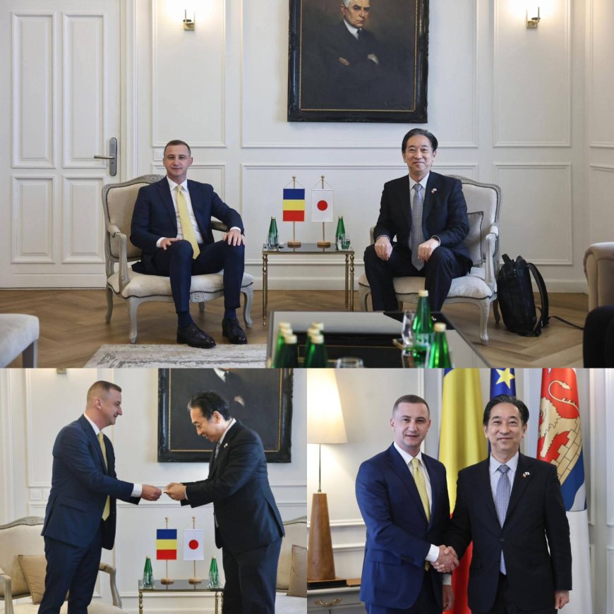Județul Timiș, promovat în Japonia