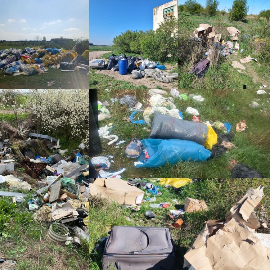 Curățenia de Paște nu se face pe câmp