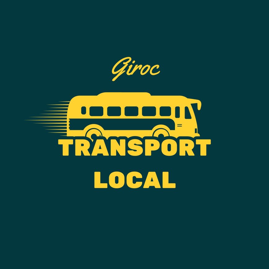 Transportul public revine pe strada Neptun din Giroc