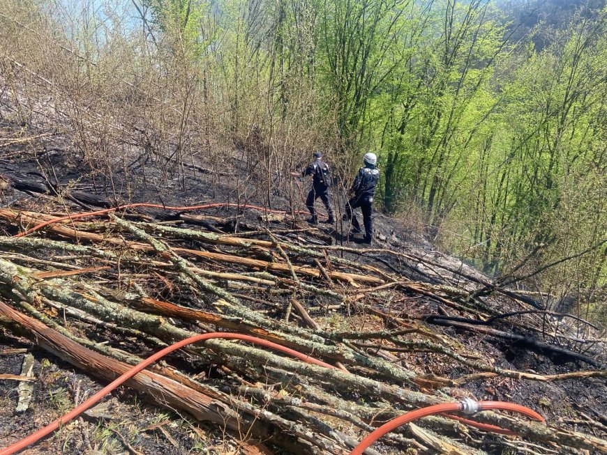 Peste 240 de intervenții ale pompierilor din Hunedoara în patru zile