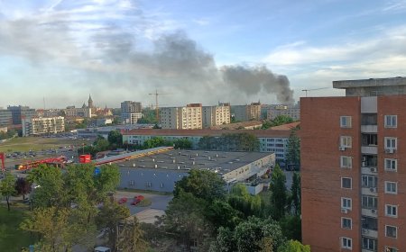 Trei mașini ard pe o stradă din Timișoara