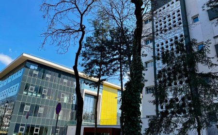 UPT lansează Inginerie Chimică în limba engleză, program orientat spre piața globală