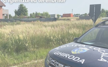 Încep verificările Poliției Locale Ghiroda- cine nu-și îngrijește terenul riscă amenzi
