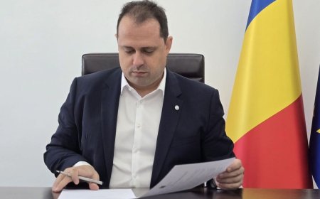 Verificări la ONG-urile de utilitate publică