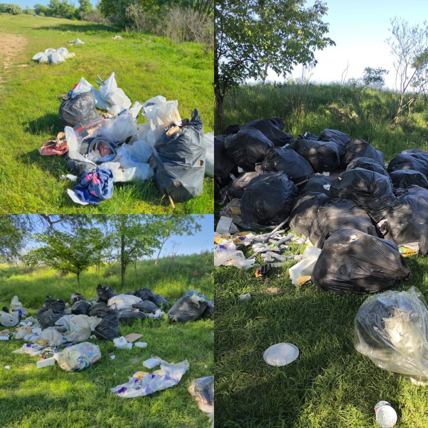 Sancțiuni drastice pentru abandonarea deșeurilor la Șag