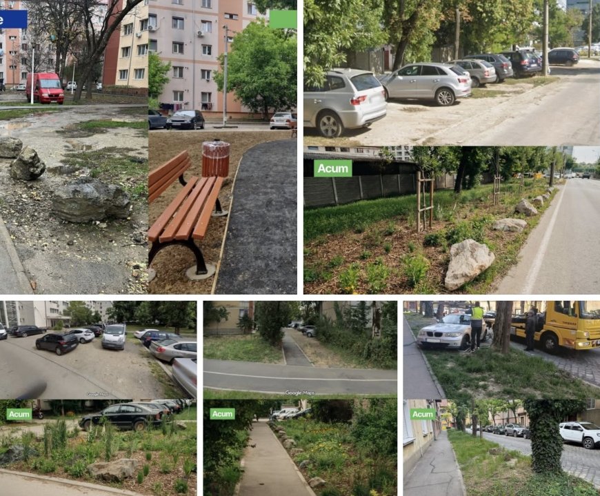 Primăria Timișoara contestă amenda Gărzii de Mediu