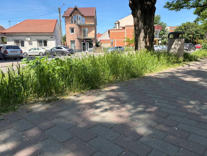 Revoltă la Lugoj.Zona de promenadă a Timișului, abandonată