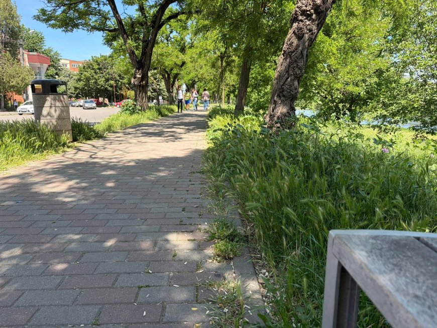 Revoltă la Lugoj.Zona de promenadă a Timișului, abandonată