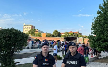 Jandarmii timișeni, la datorie