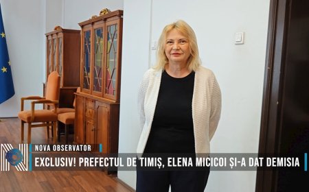 EXCLUSIV! Prefectul de Timiș, Elena Micicoi și-a dat DEMISIA
