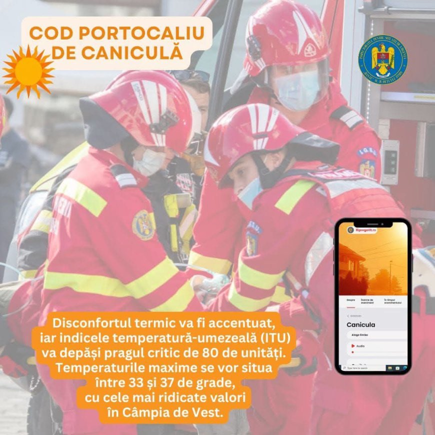 Cod portocaliu de caniculă