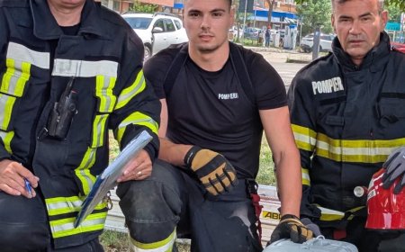 Un strigăt de ajutor și un final fericit pentru un pui de pisică
