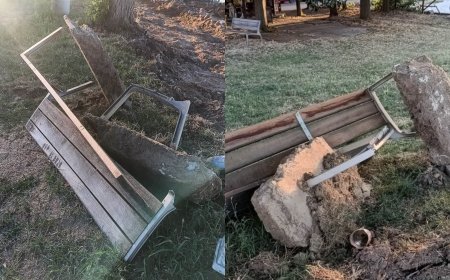 Nu distrug lugojenii, distruge primăria