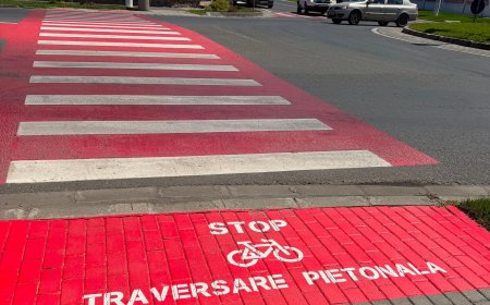 Siguranța în trafic începe cu respectarea regulilor