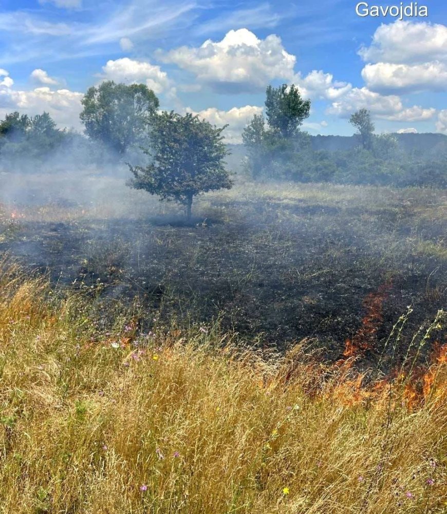 Weekend de foc pentru pompierii din Timiș
