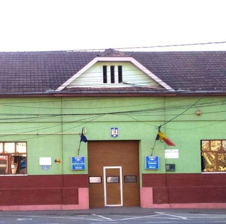 Campanie de colectare a deșeurilor din Recaș