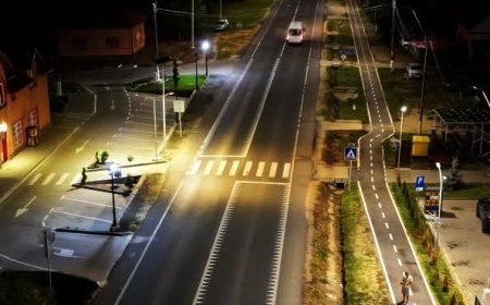 Siguranța rutieră crescută prin treceri de pietoni semnalizate și iluminate