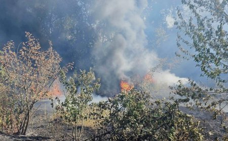 Un hectar de teren, mistuit de flăcări