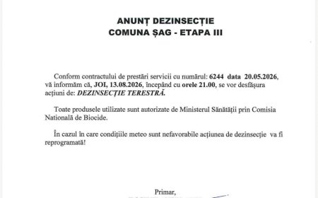 Dezinsecție la Șag