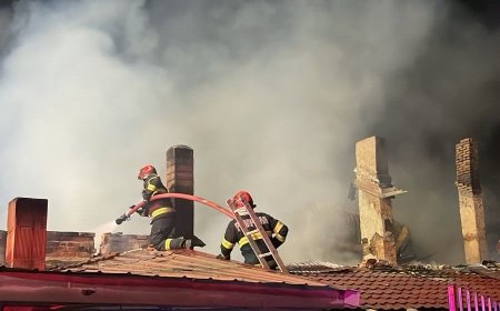 21 de incendii în două zile